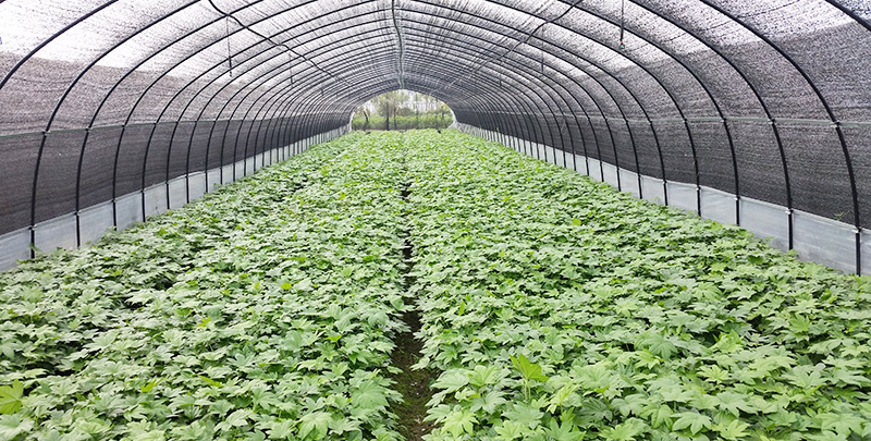 w66国际·利来(中国)最给力的老牌